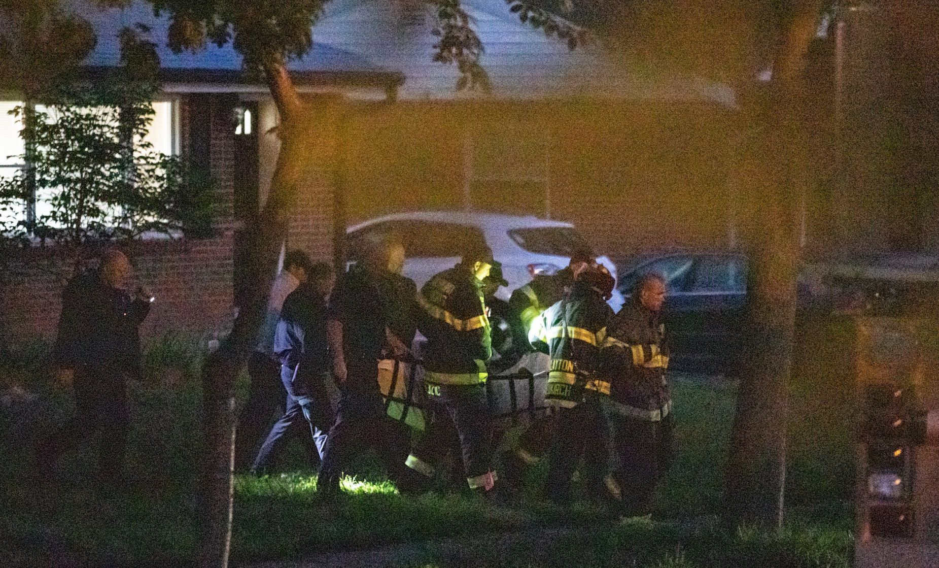 Black bear removed from Richmond Heights neighborhood